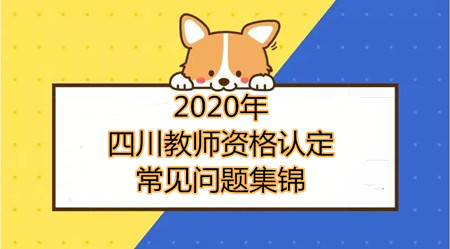 四川教師資格認定集錦