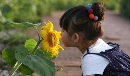 瀘州市幼兒園教師資格